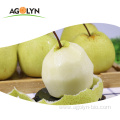 Chinese new crop sweet juicy Fresh golden Pear
